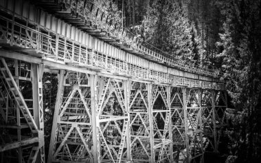 Perşembe 'deki tarihi Ziemestal Köprüsü.