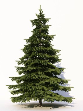 Beyaz arka planda izole ağaçlar, tasarımda, reklamcılıkta ve mimaride kullanılan tropikal ağaçlar. 3d oluşturma