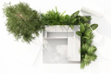 Beyaz arkaplanda izole edilmiş tropikal bitkilerin üst görünümünü 3D görüntüle.