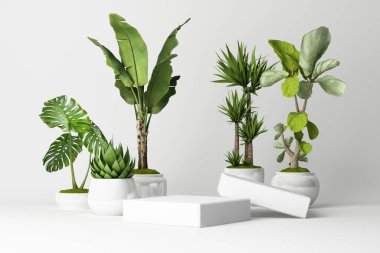 3D render of tropical plants isolated on white background. clipart
