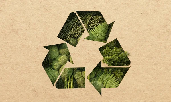 Green Earth Recycle Concept Earth Day Surrounded Globes Trees Leaf — Foto de Stock