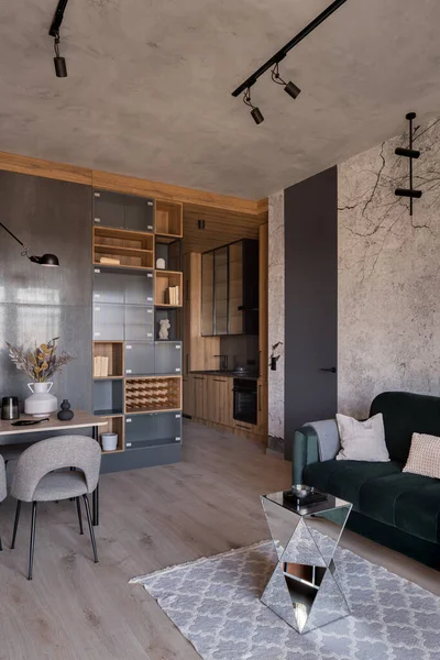 Stylish Modern Apartment Interior Living Room Dining Area Small Kitchen — Zdjęcie stockowe