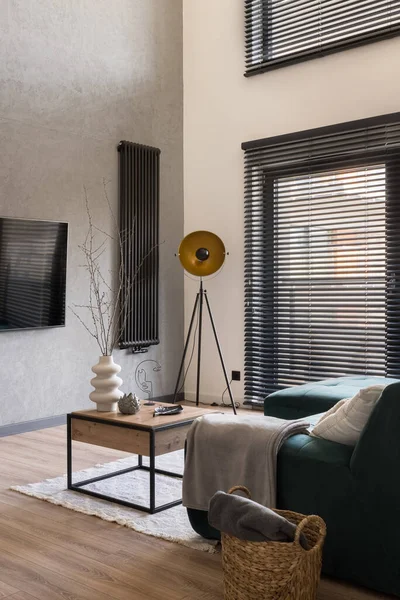 Modern Lamp Tripod Lofty Style Living Room Cozy Couch Wooden — Stok fotoğraf