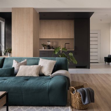 Cozy, green sofa with pillows in stylish living room open to modern black and wooden kitchen