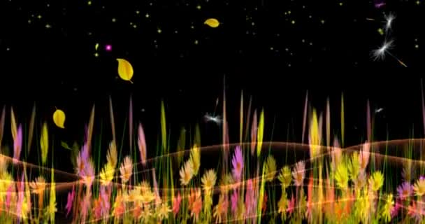 カラフルな新鮮な野生の花のCgiフィールド 夏の自然のパノラマの風景 動画クリップ