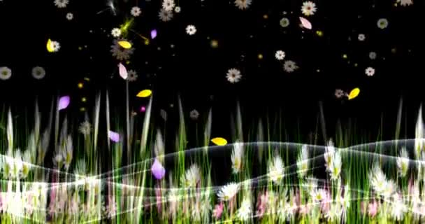 Cgi白い新鮮な野生の花の春のフィールド 春の自然のパノラマ風景 ストック映像