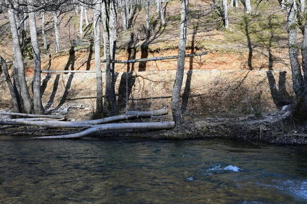 Existen Bosques Llanuras Inundación Arroyos Orden Superior Ríos Son Más — Foto de Stock