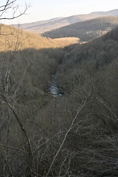 Floodplain Forests Exist Higher Order Streams Rivers Most Common Regions — Stock Photo, Image