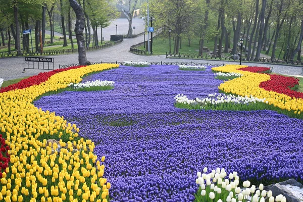 Super Anhäufung Von Reihen Von Tulpen Allen Farbtönen Und Farben — Stockfoto