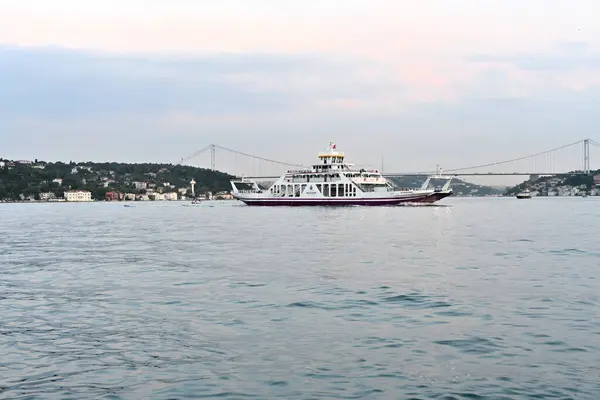 Istanbul Turkey May 2019 Cruise Ship Sea Port — Photo