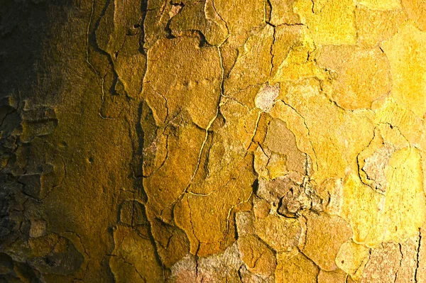 Old Cracked Stone Wall Texture Background Close — Stockfoto