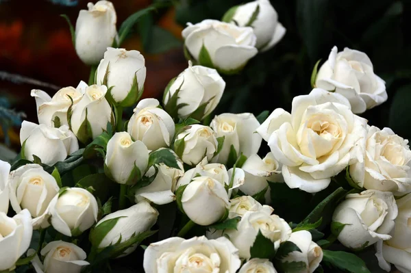 Belo Buquê Rosas Brancas Vaso — Fotografia de Stock