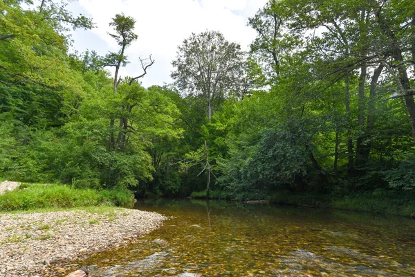 Wunderschöne Landschaft Mit Fluss Und Wald — Stockfoto