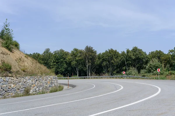 Strada Nella Foresta Paesaggio Naturale — Foto Stock