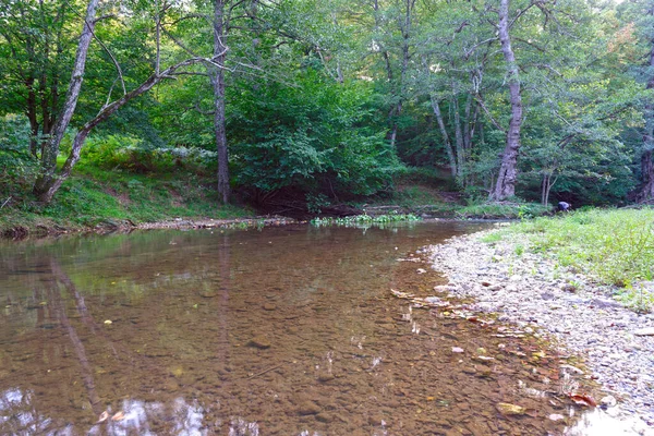 Wunderschöne Landschaft Mit Einem Fluss Und Einem Kleinen Bach — Stockfoto