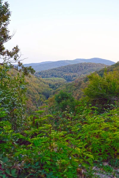 Beautiful View Nature — Stock Photo, Image