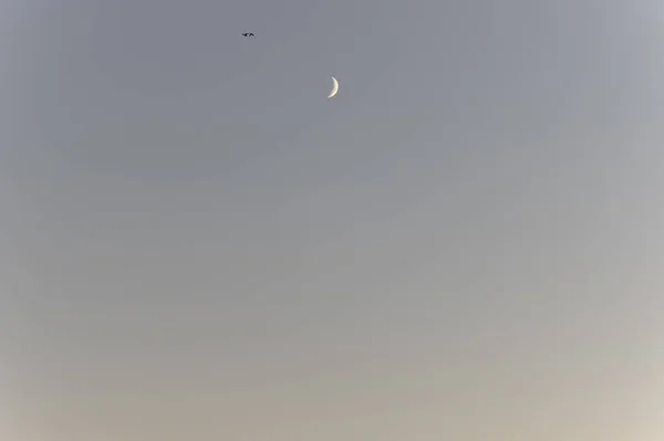 Luna Nel Cielo — Foto Stock