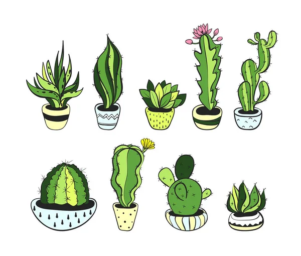 Set Met Schattige Cactus Vectorillustratie Eps — Stockvector