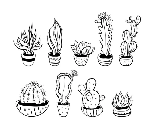 Set Con Simpatico Cactus Illustrazione Vettoriale Eps — Vettoriale Stock