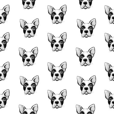 Fransız buldog deseni, ambalaj kağıdı, kumaş izi. Vektör çizimi. El çizimi komik köpekler..