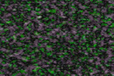 Su perisi granit mermer parıldıyor. Lüks iç plan.