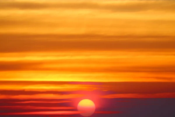 Západ Slunce Červená Horká Obloha Silueta Strom Ptáci Létání Přijít — Stock fotografie