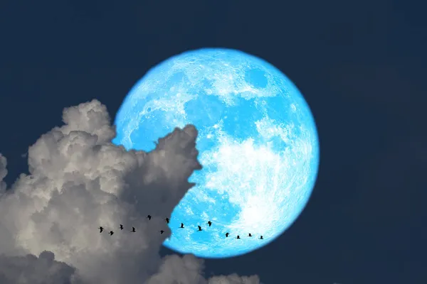 Super Raccolta Blu Luna Silhouette Uccelli Volanti Nuvole Sul Cielo — Foto Stock
