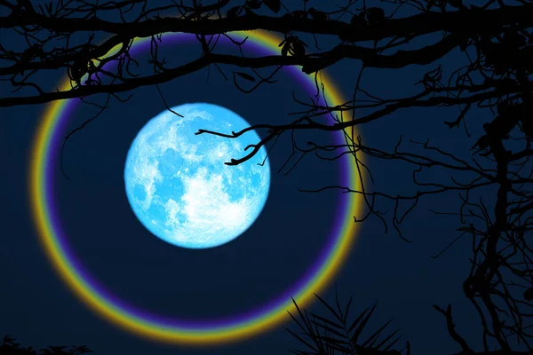 Cosecha Azul Luna Halo Rama Árboles Cielo Nocturno Elementos Esta —  Fotos de Stock