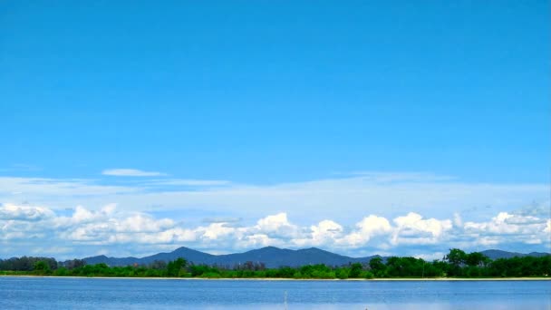 Bambú en el agua en el lago con la colina de la montaña y el cielo azul fondo de nubes blancas en el lapso de tiempo de verano — Vídeo de stock
