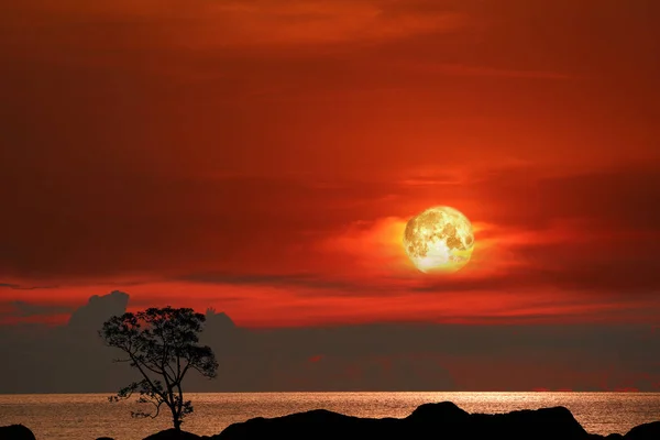 Blood Moon Tree Silhouette Mountain Sunset Sky Elements Image Furnished — Foto Stock