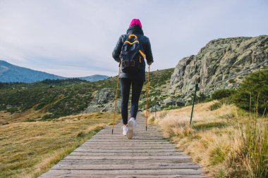 Kadın elinde sopalarla dağdan aşağı iniyor.
