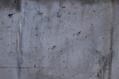 Beton bir duvarda damarlar, arka planda gri renkler.