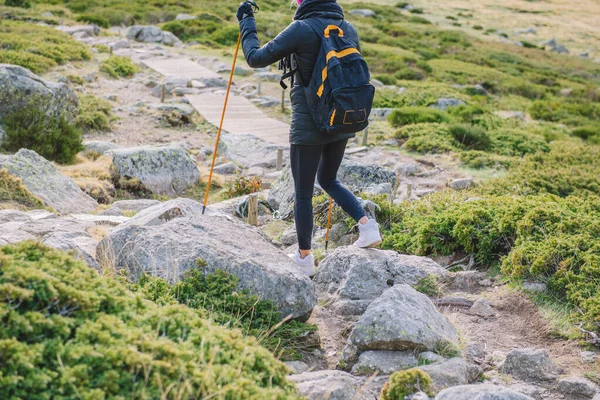 Kadın Elinde Sopalarla Dağdan Aşağı Iniyor — Stok fotoğraf