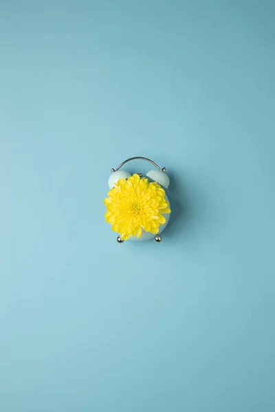 Yellow Flower Vintage Alarm Clock Flat Blue Background Royalty Free Stock Obrázky