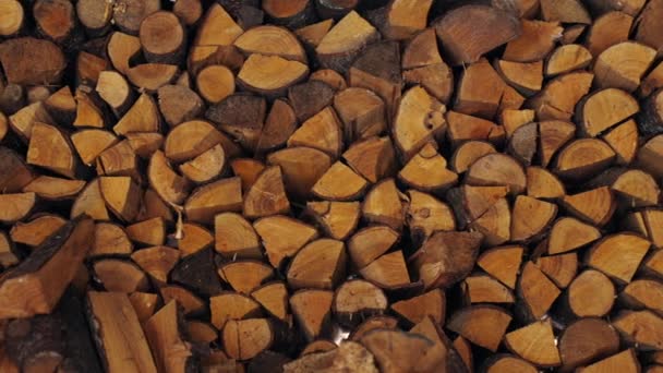 Chopped Trees Stacked Large Log Woodpile Yard Stacked Firewood Prepared — Vídeo de Stock