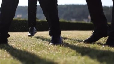 Taze sabah su çiy damlaları güneş tarafından aydınlatılan yeşil çimenlere düşer..