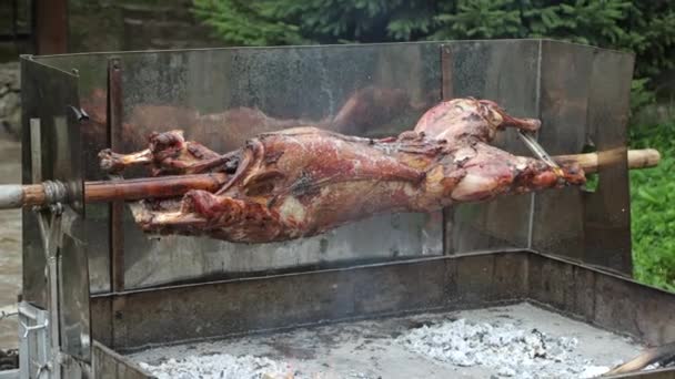 Juicy Grilled Sheep Which Rotated Fire — Video Stock