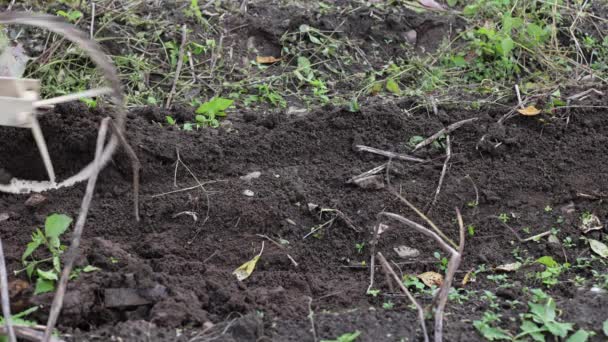 Plow Cava Papas Agricultura Otoño Tierra Mojada Duro Para Trabajar — Vídeos de Stock