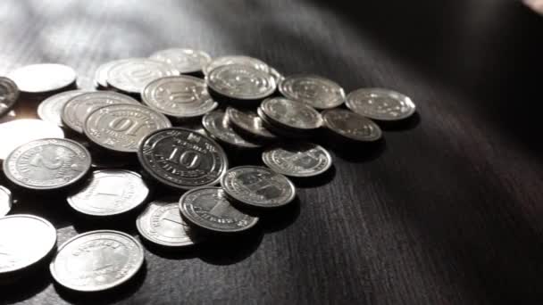Många Silver Ukrainska Mynt Alla Hryvnia Mynt Två Fem Tio — Stockvideo