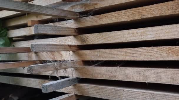 Deska Jest Gotowa Użycia Drzewo Tartakiem Drewniany Materiał Podłogę — Wideo stockowe