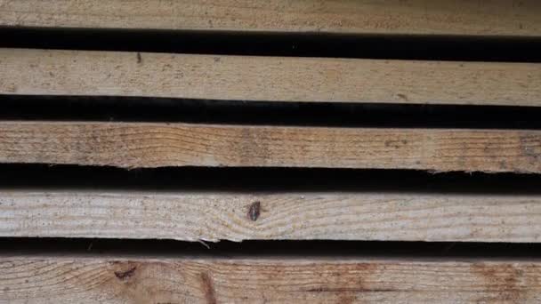 Deska Jest Gotowa Użycia Drzewo Tartakiem Drewniany Materiał Podłogę — Wideo stockowe