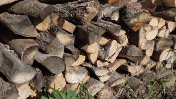 Brennholz Für Den Winter Gasaustausch Haus Wintervorbereitung Waldbrennholz — Stockvideo