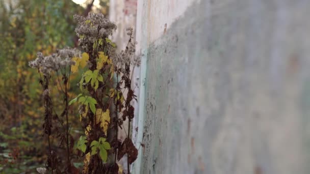 Terribles Locales Ruinas Consecuencia Guerra Ucrania Una Casa Destruida — Vídeos de Stock