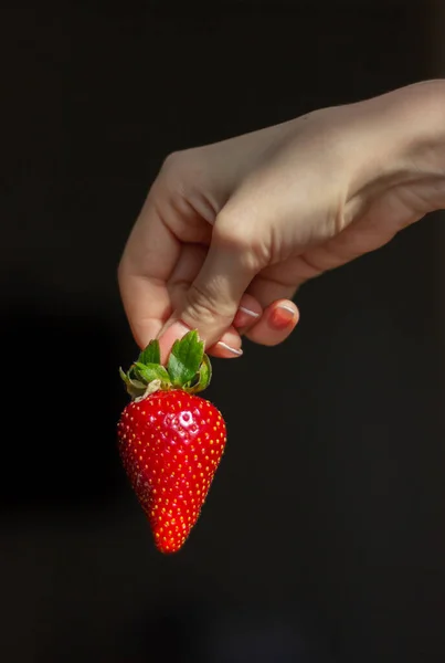 A large ripe and juicy red strawberry, which is held by a tail by a female hand on a black background. Summer berry. Healthy food — Stock Photo, Image