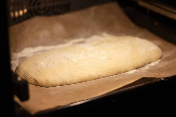 Dough for Italian ciabatta in the oven. — Stock Photo, Image