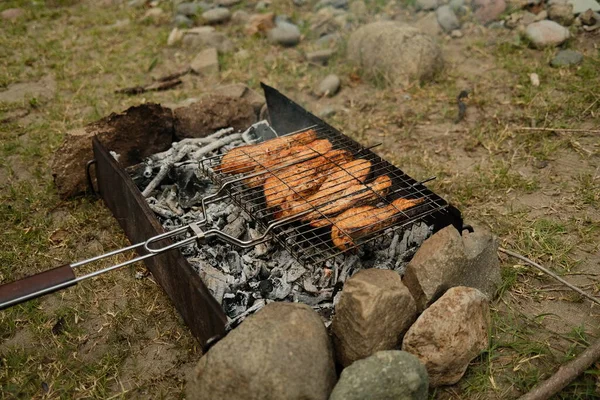 Grilled salmon on a barbecue grill. Food on a campfire in nature. — Stock Photo, Image