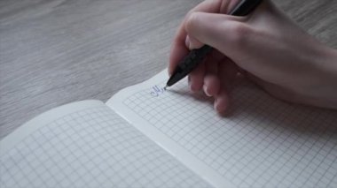 Bir kadın, istek listesini defterine kalemle yazar. Mektup ve notlar.