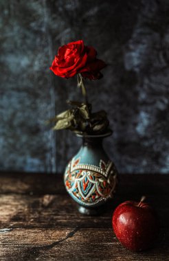 Kırmızı bir gülün durgun yaşamı