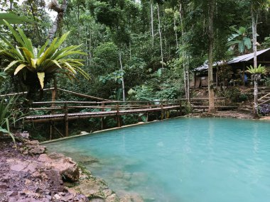 Kembang Soka Şelalesi kulon progo, yogyakarta, Endonezya