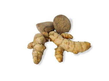 tumeric veya Zingiberaceae veya Curcuma ve Keluak, Keluwek veya Keluwak olarak da bilinir, Pangi veya Kepayang ağacının (Pangium edule) tohumu beyaz arka planda izole edilmiştir.